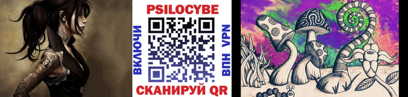 Псилоцибиновые грибы GOLDEN TEACHER закладка Велиж